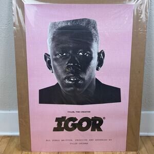 Tyler The Creator IGOR Album Poster 24" x 36"